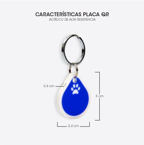 Placa Default gatos 3