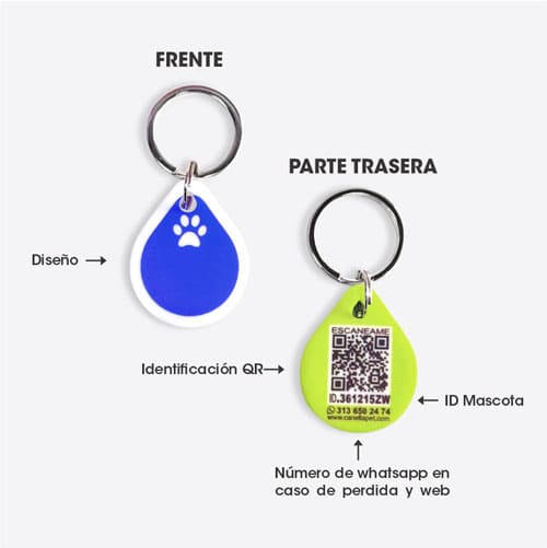 Placa Default perros 4