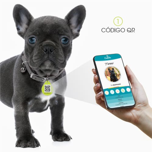 Tecnología Qr